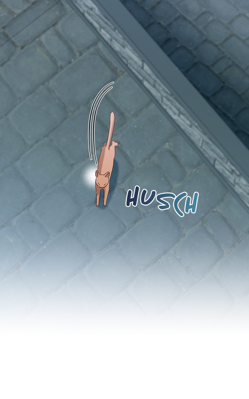 Read Adoptiert von einer Assassinenfamilie Manga Online