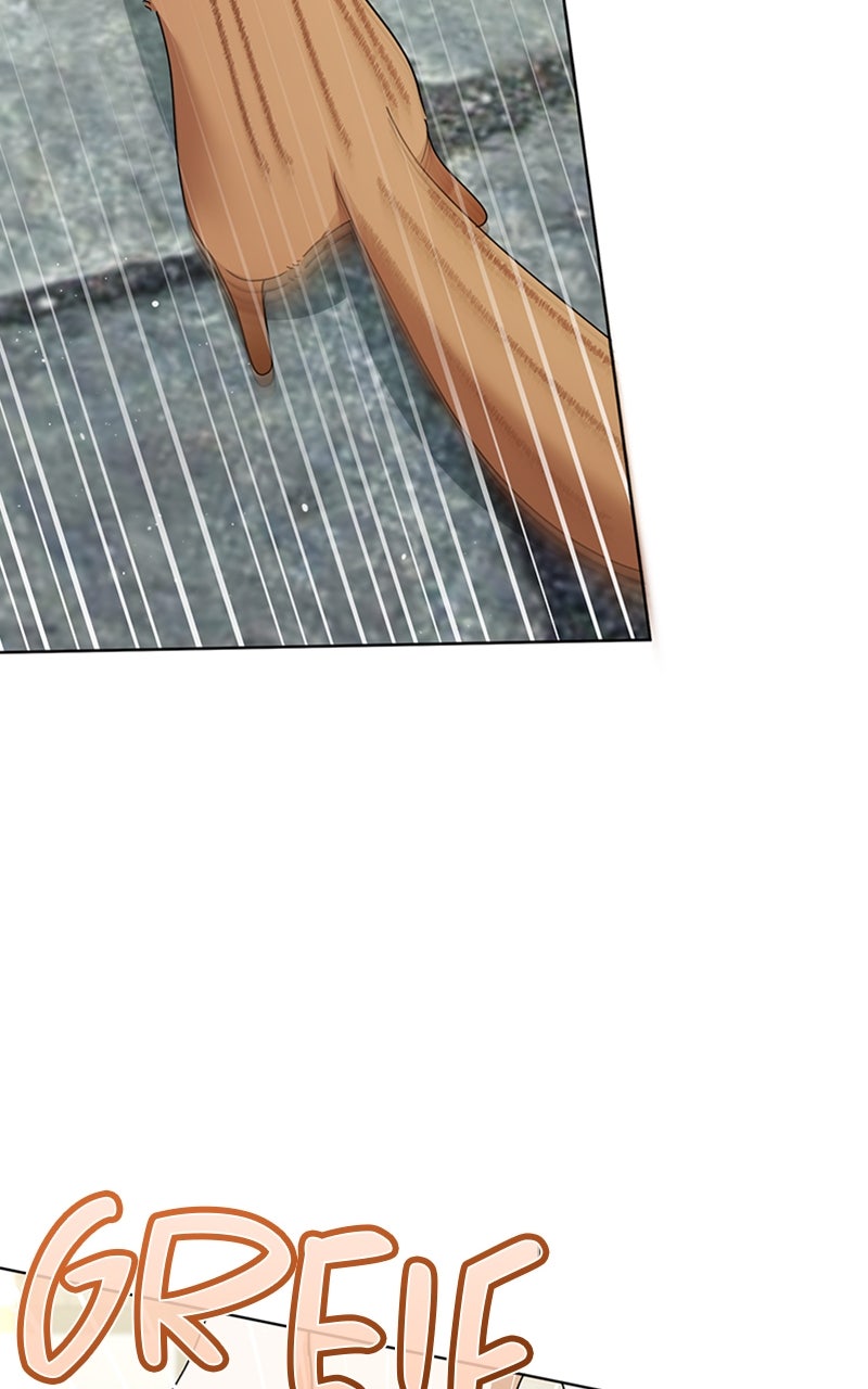 Read Adoptiert von einer Assassinenfamilie Manga Online