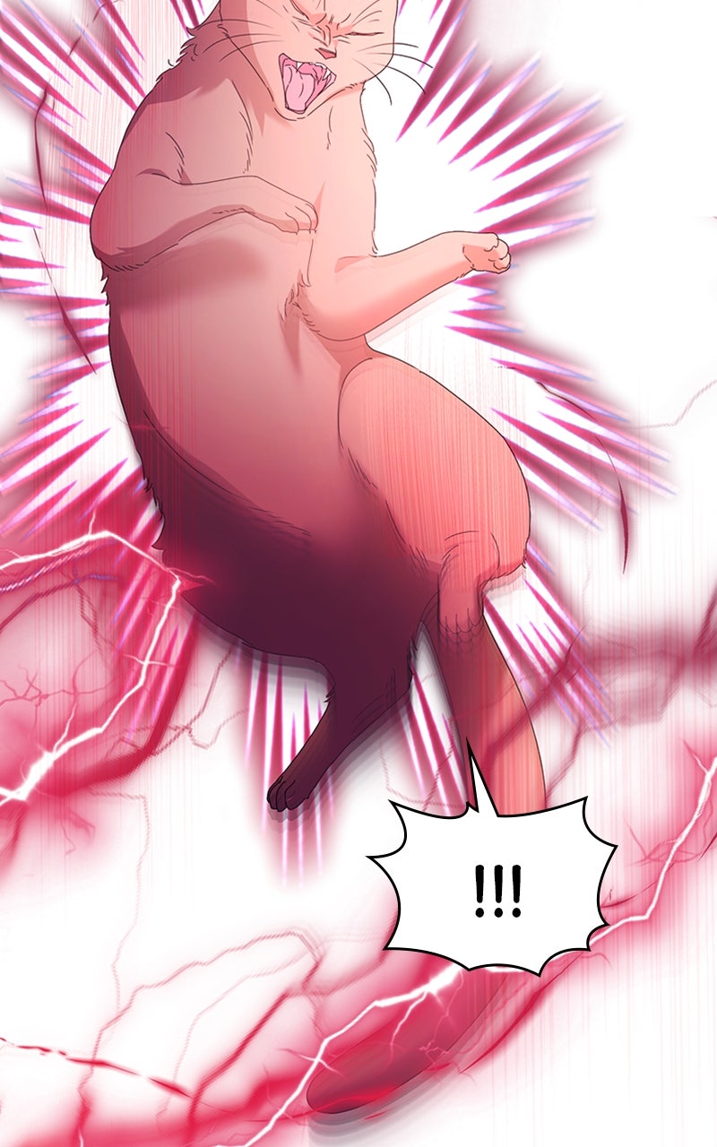 Read Adoptiert von einer Assassinenfamilie Manga Online