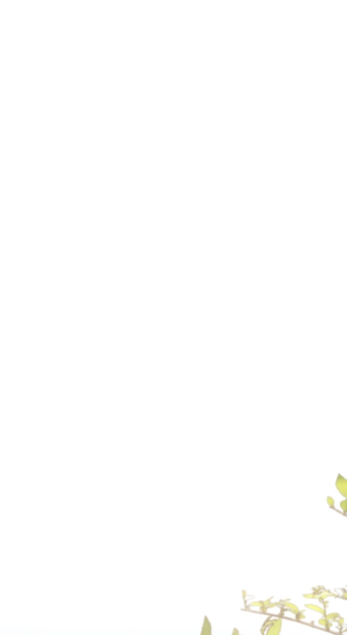 Read Angelic Lady Manga Online