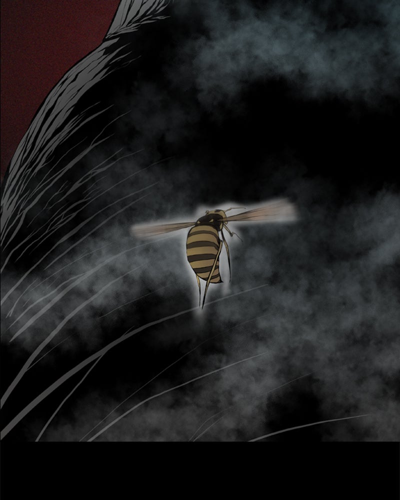 Read Castle Manga Online