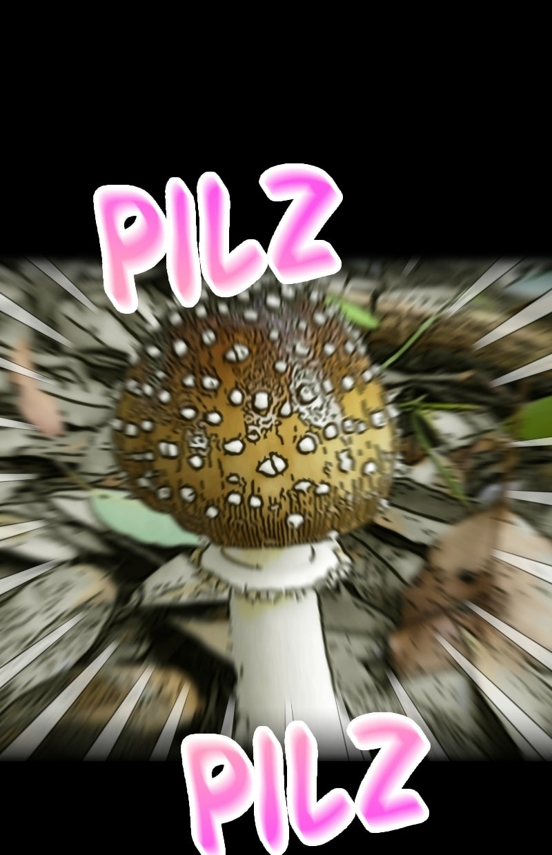 Read Childhood Friend Complex Manga Online