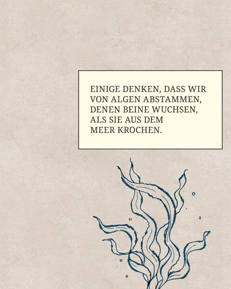 Read Club der verfluchten Prinzessinnen Manga Online