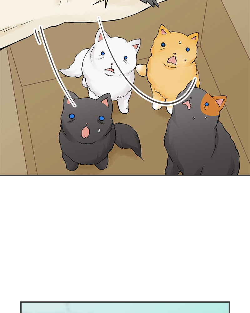 Read Club der verfluchten Prinzessinnen Manga Online
