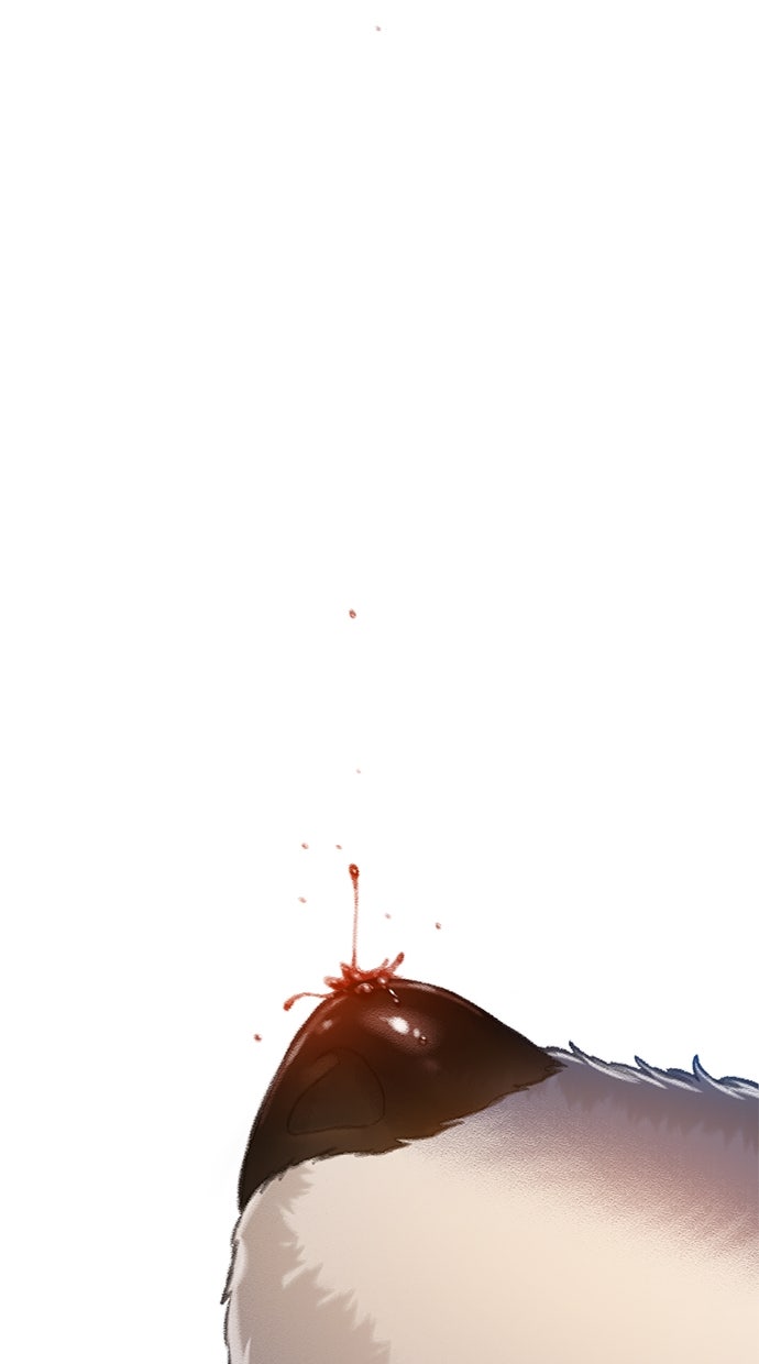 Read DARK MOON - THE GREY CITY Manga Online