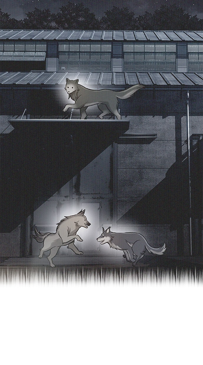 Read DARK MOON - THE GREY CITY Manga Online