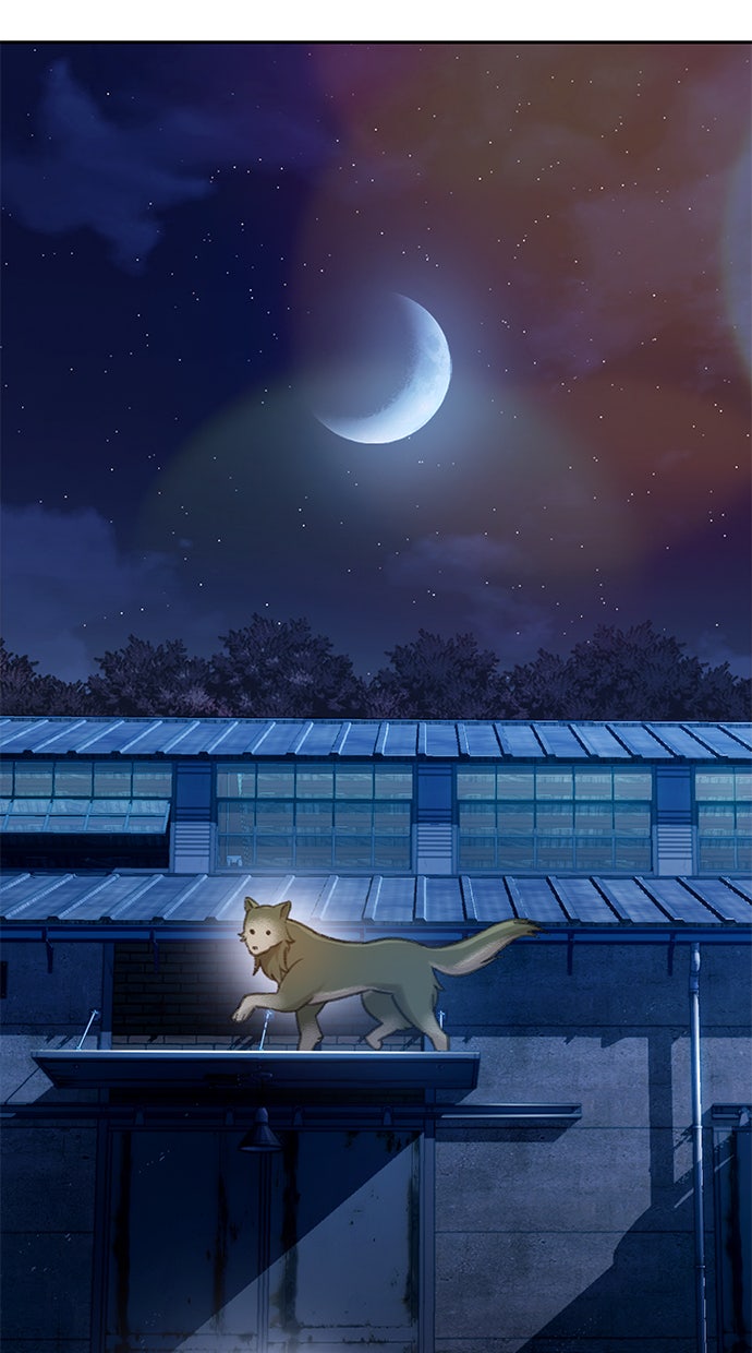 Read DARK MOON - THE GREY CITY Manga Online