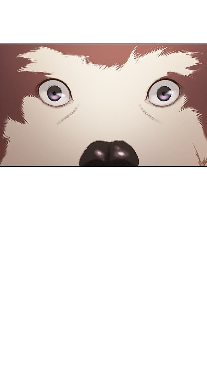 Read DARK MOON - THE GREY CITY Manga Online