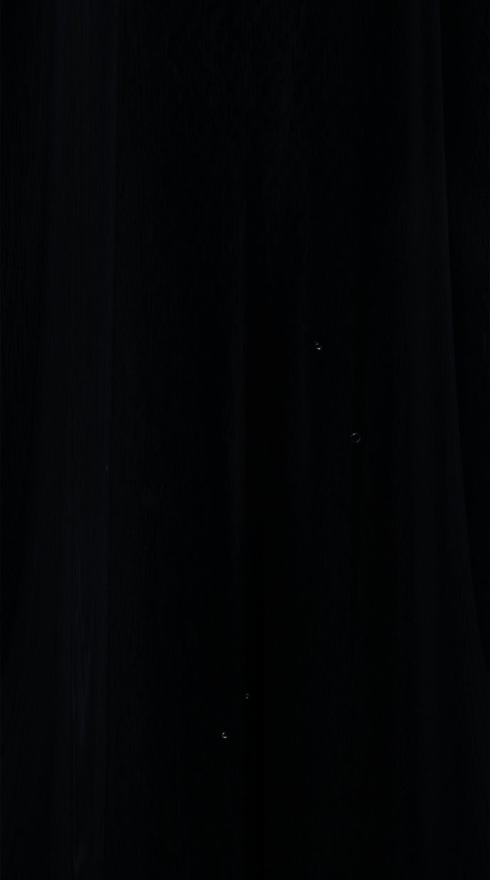 Read Das geheime Dienstmädchen Manga Online