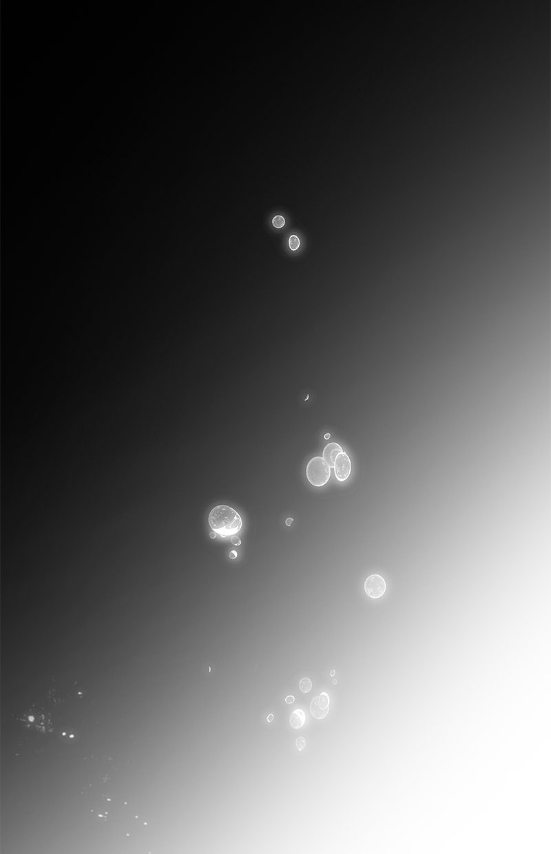 Read Der allwissende Leser Manga Online