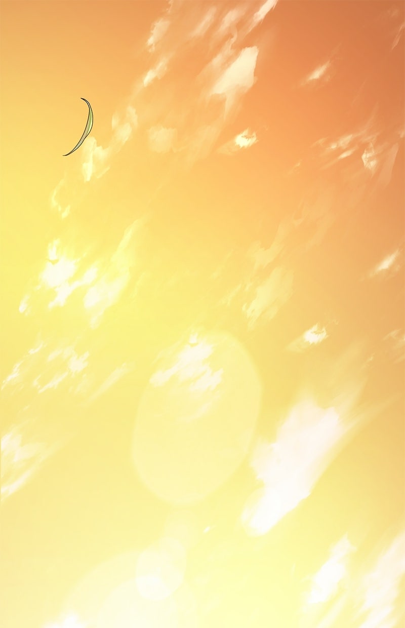 Read Der allwissende Leser Manga Online