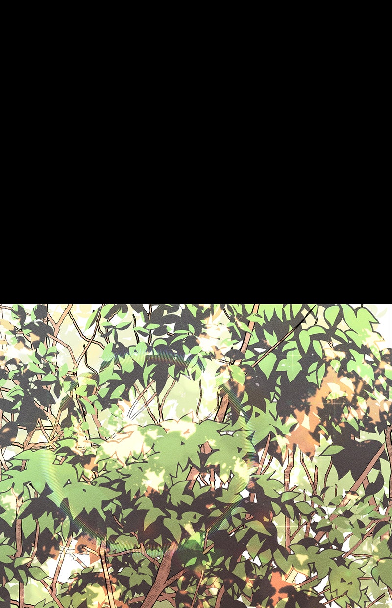 Read Der goldene Wald Manga Online