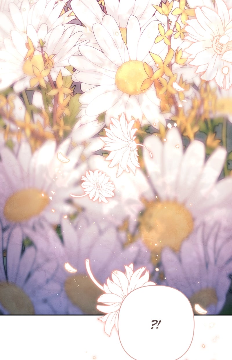 Read Die neuvermählte Kaiserin Manga Online