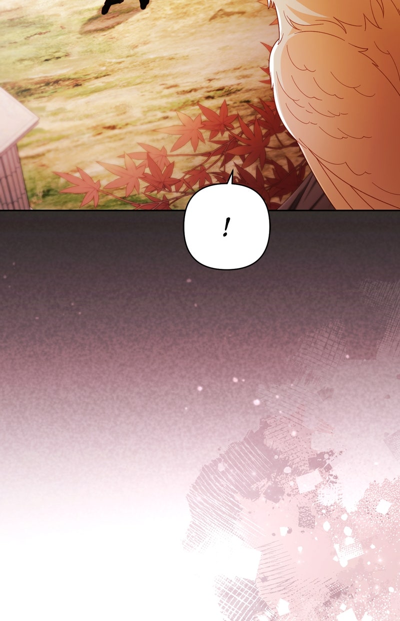 Read Die neuvermählte Kaiserin Manga Online