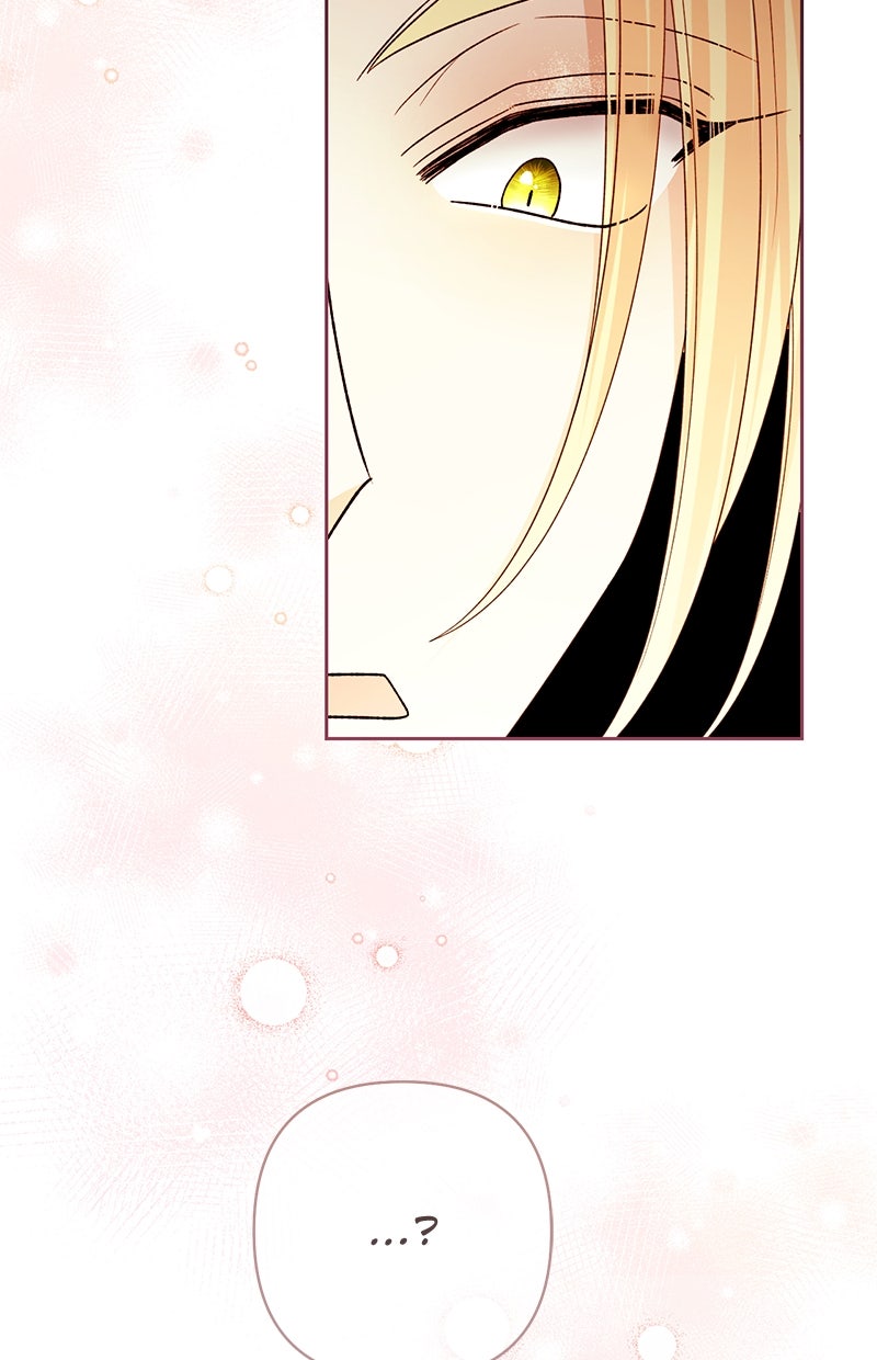 Read Die neuvermählte Kaiserin Manga Online