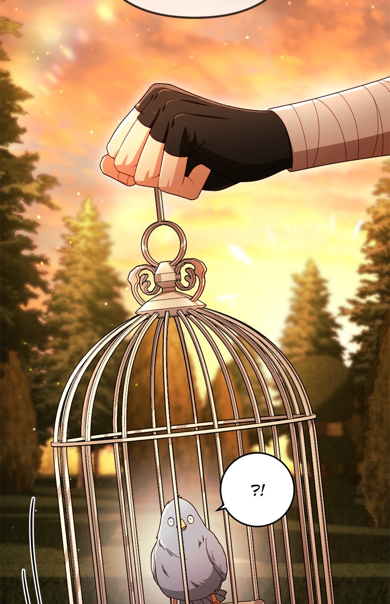 Read Die neuvermählte Kaiserin Manga Online