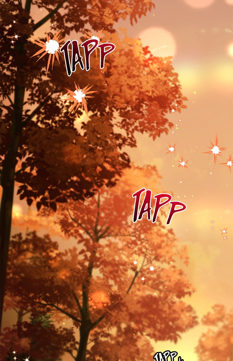 Read Die neuvermählte Kaiserin Manga Online