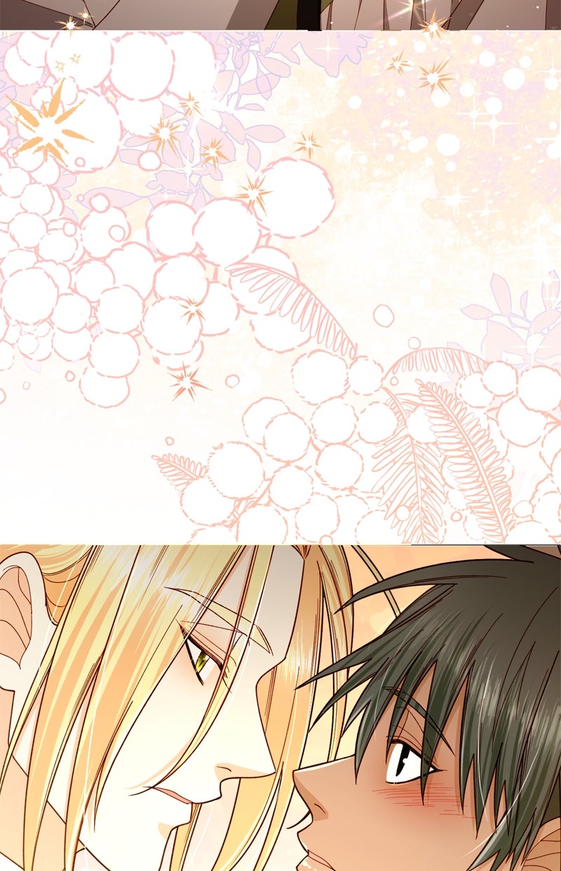 Read Die neuvermählte Kaiserin Manga Online