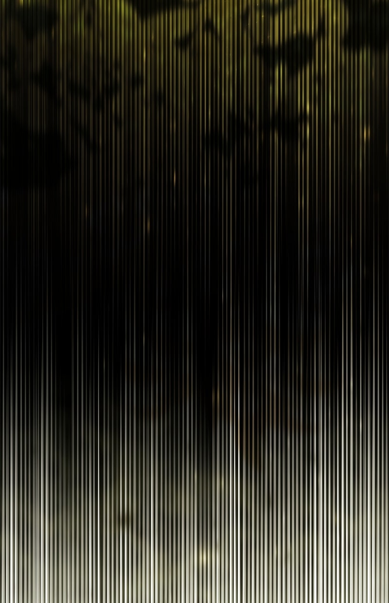 Read Die neuvermählte Kaiserin Manga Online