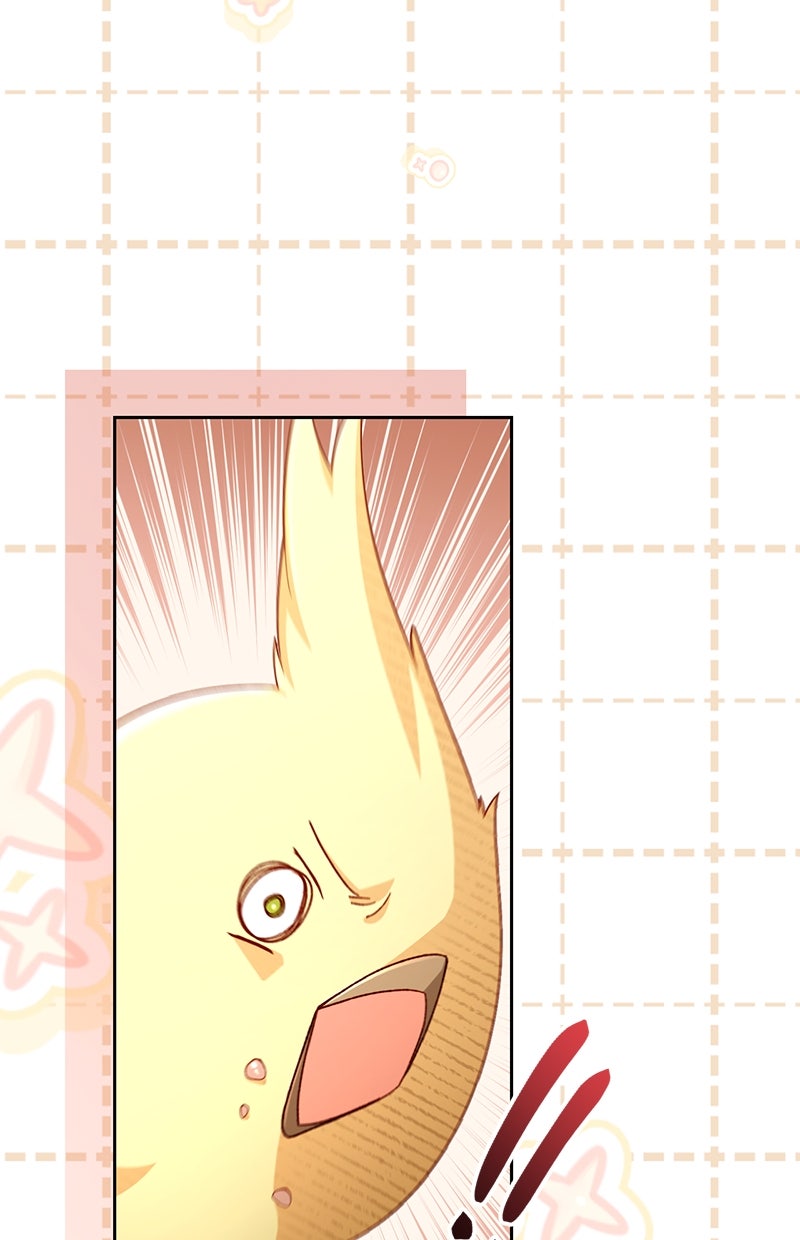 Read Die neuvermählte Kaiserin Manga Online