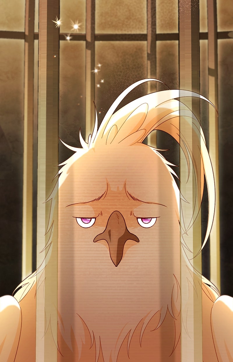 Read Die neuvermählte Kaiserin Manga Online