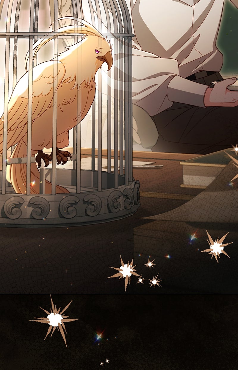 Read Die neuvermählte Kaiserin Manga Online