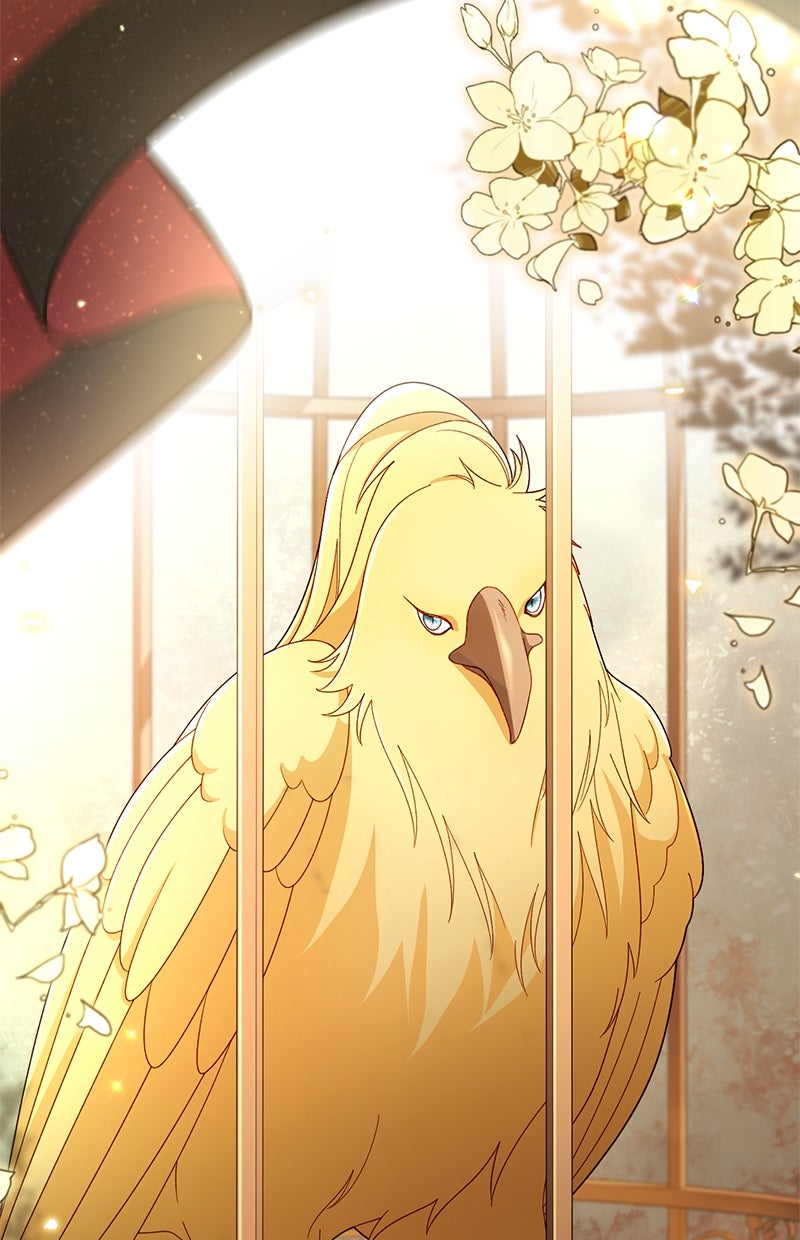 Read Die neuvermählte Kaiserin Manga Online