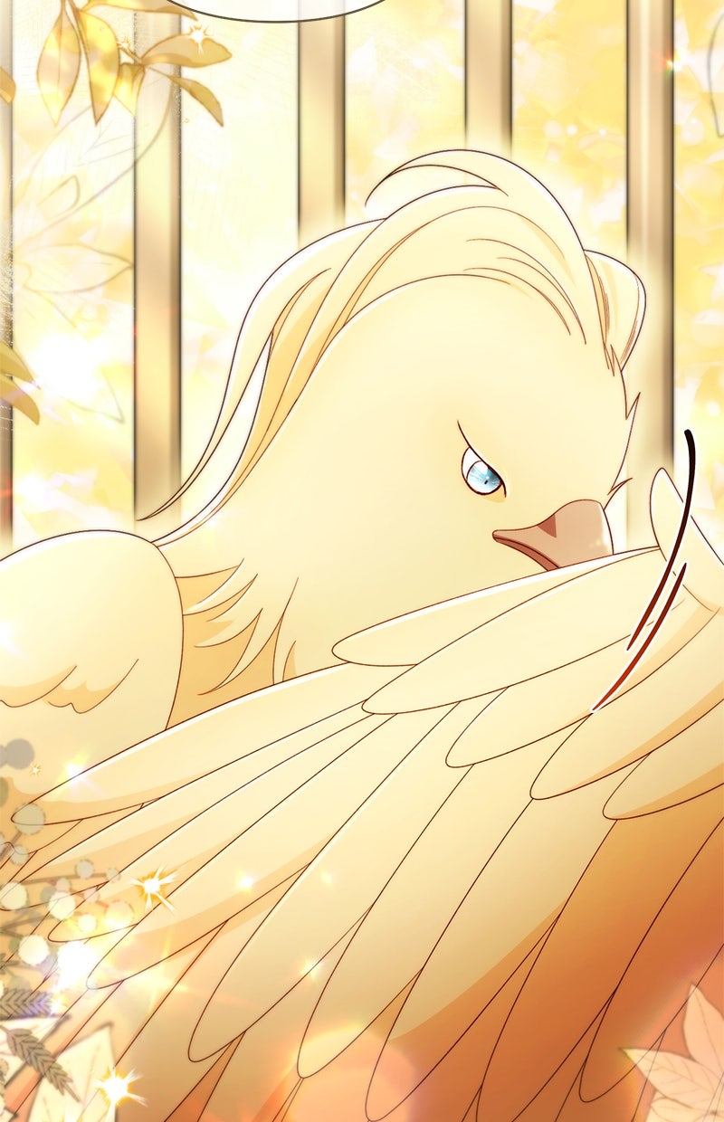 Read Die neuvermählte Kaiserin Manga Online