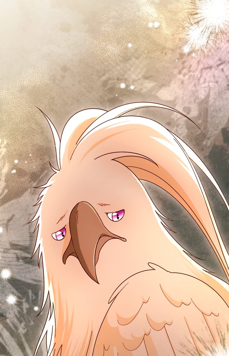 Read Die neuvermählte Kaiserin Manga Online