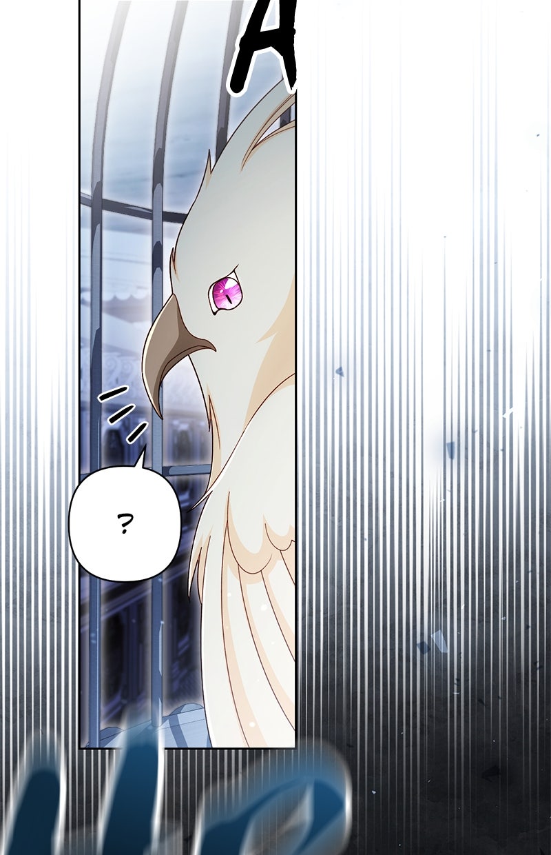 Read Die neuvermählte Kaiserin Manga Online