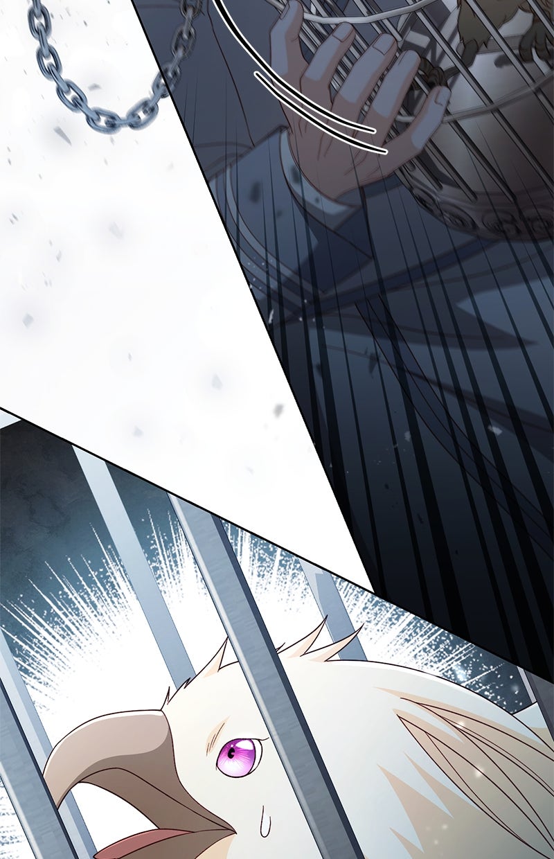 Read Die neuvermählte Kaiserin Manga Online