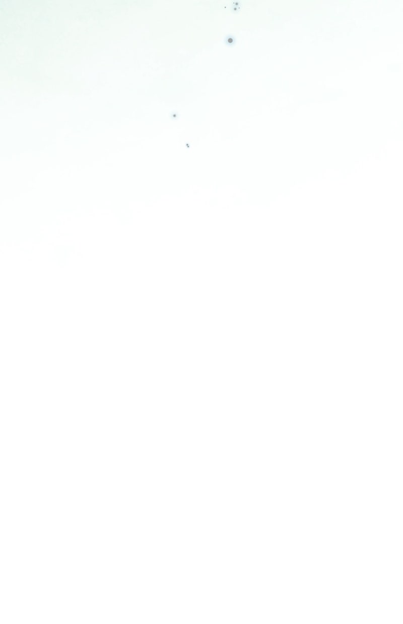 Read Die neuvermählte Kaiserin Manga Online