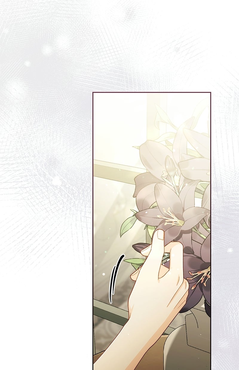 Read Die neuvermählte Kaiserin Manga Online