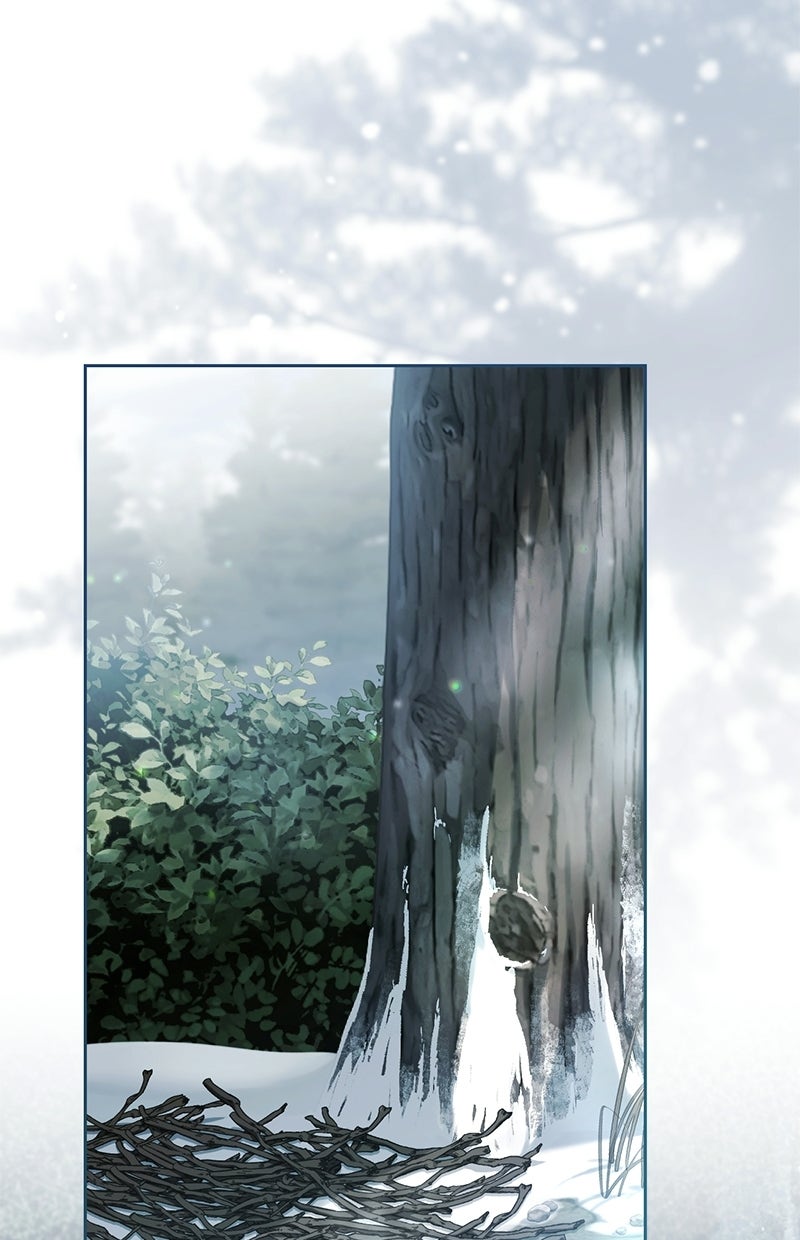 Read Die neuvermählte Kaiserin Manga Online