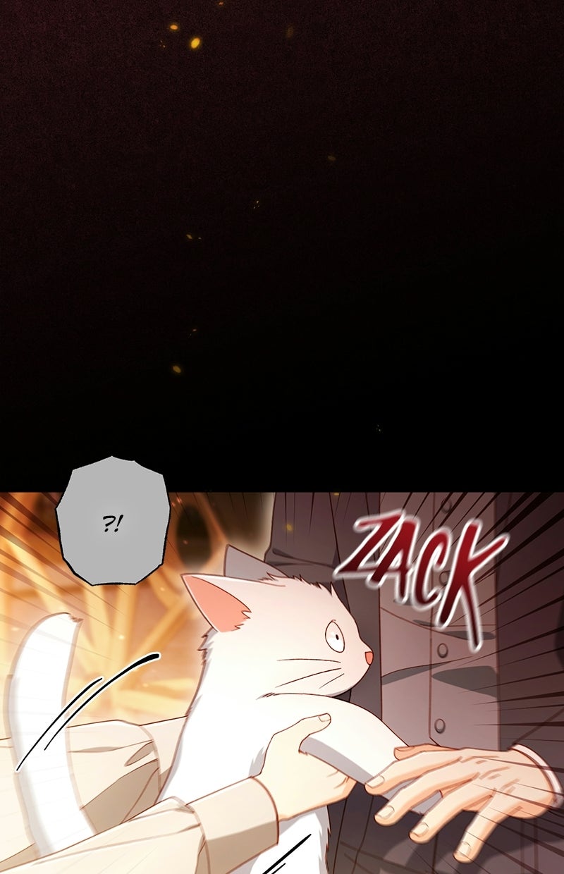 Read Die neuvermählte Kaiserin Manga Online