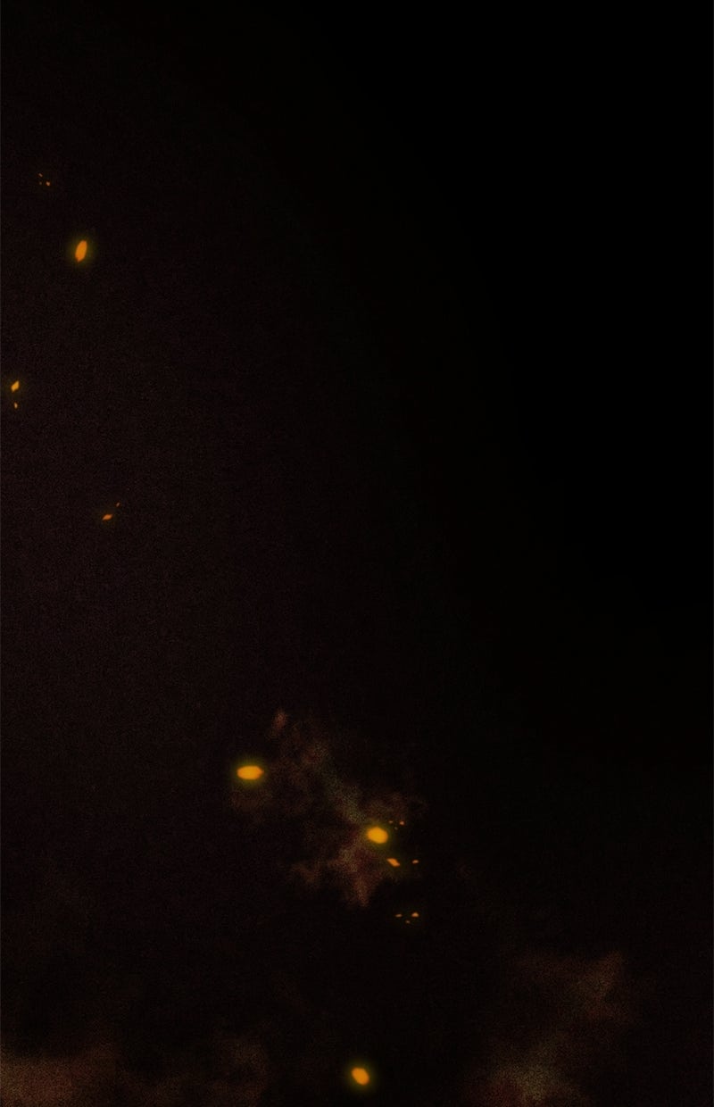 Read Die neuvermählte Kaiserin Manga Online