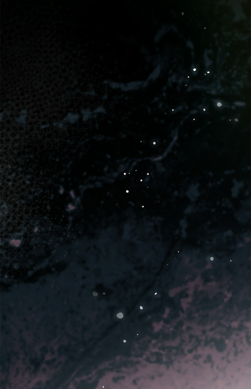 Read Die neuvermählte Kaiserin Manga Online