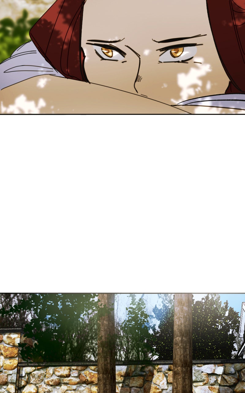 Read Die violette Hyazinthe Manga Online