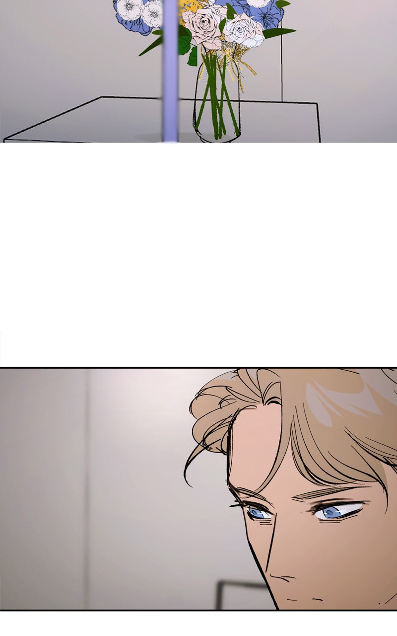 Read Die violette Hyazinthe Manga Online