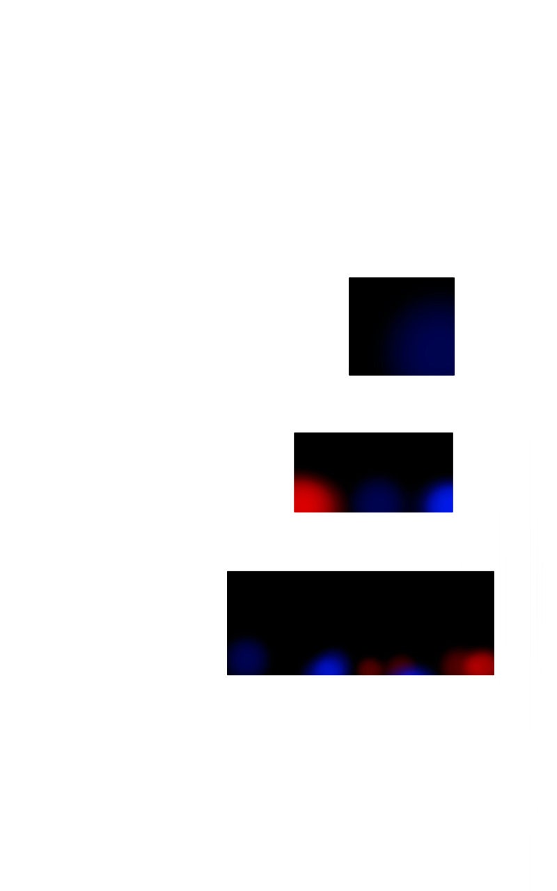 Read Die violette Hyazinthe Manga Online