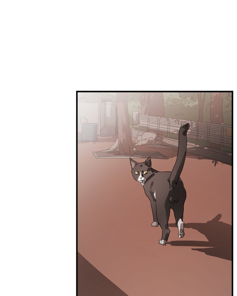 Read Eines Tages in Seoul Manga Online