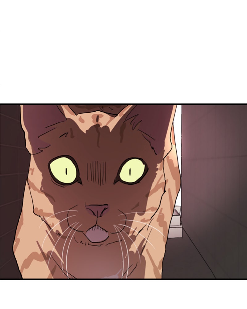 Read Eines Tages in Seoul Manga Online