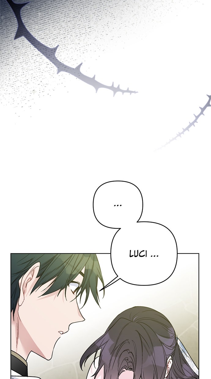 Read From a Knight to a Lady Manga Online