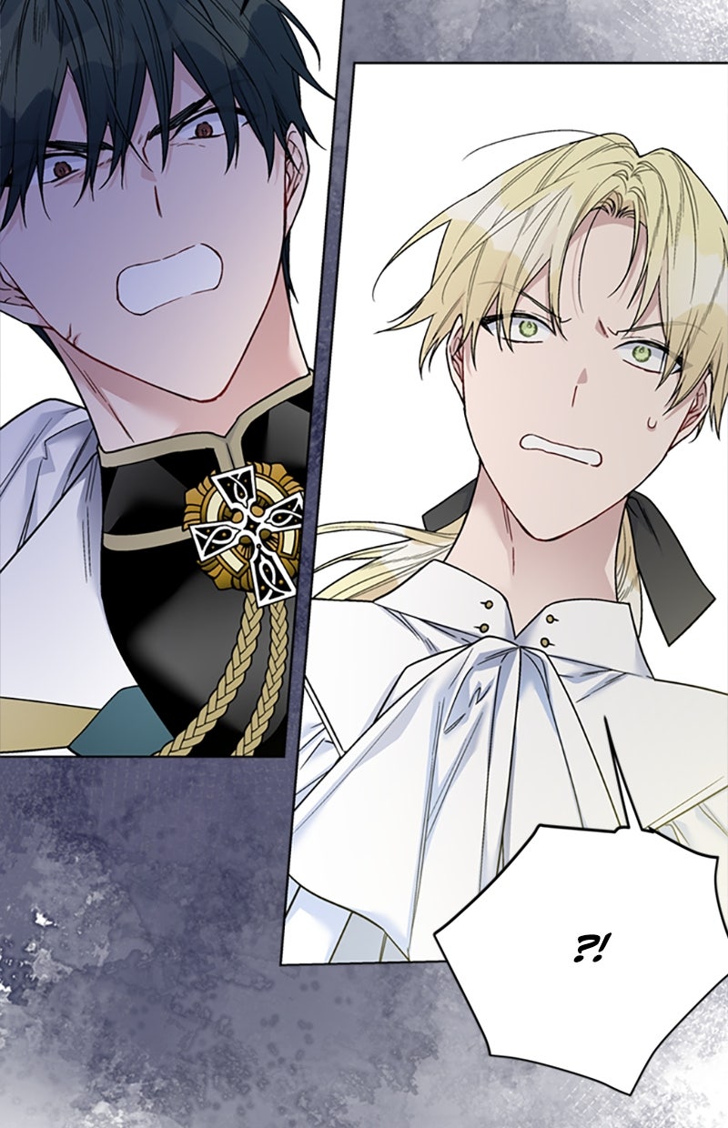 Read From a Knight to a Lady Manga Online