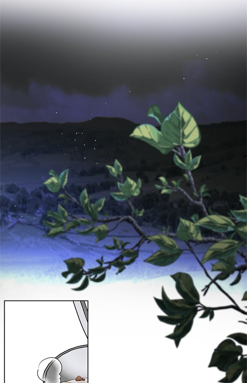 Read From a Knight to a Lady Manga Online