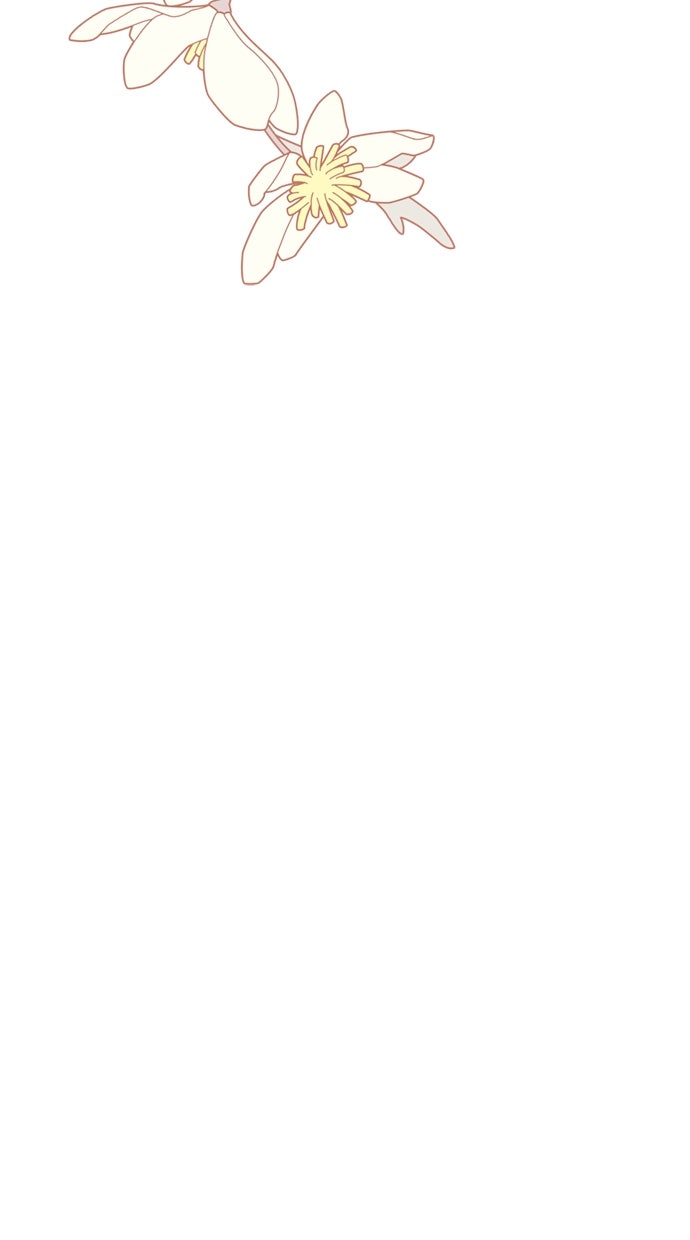 Read From a Knight to a Lady Manga Online