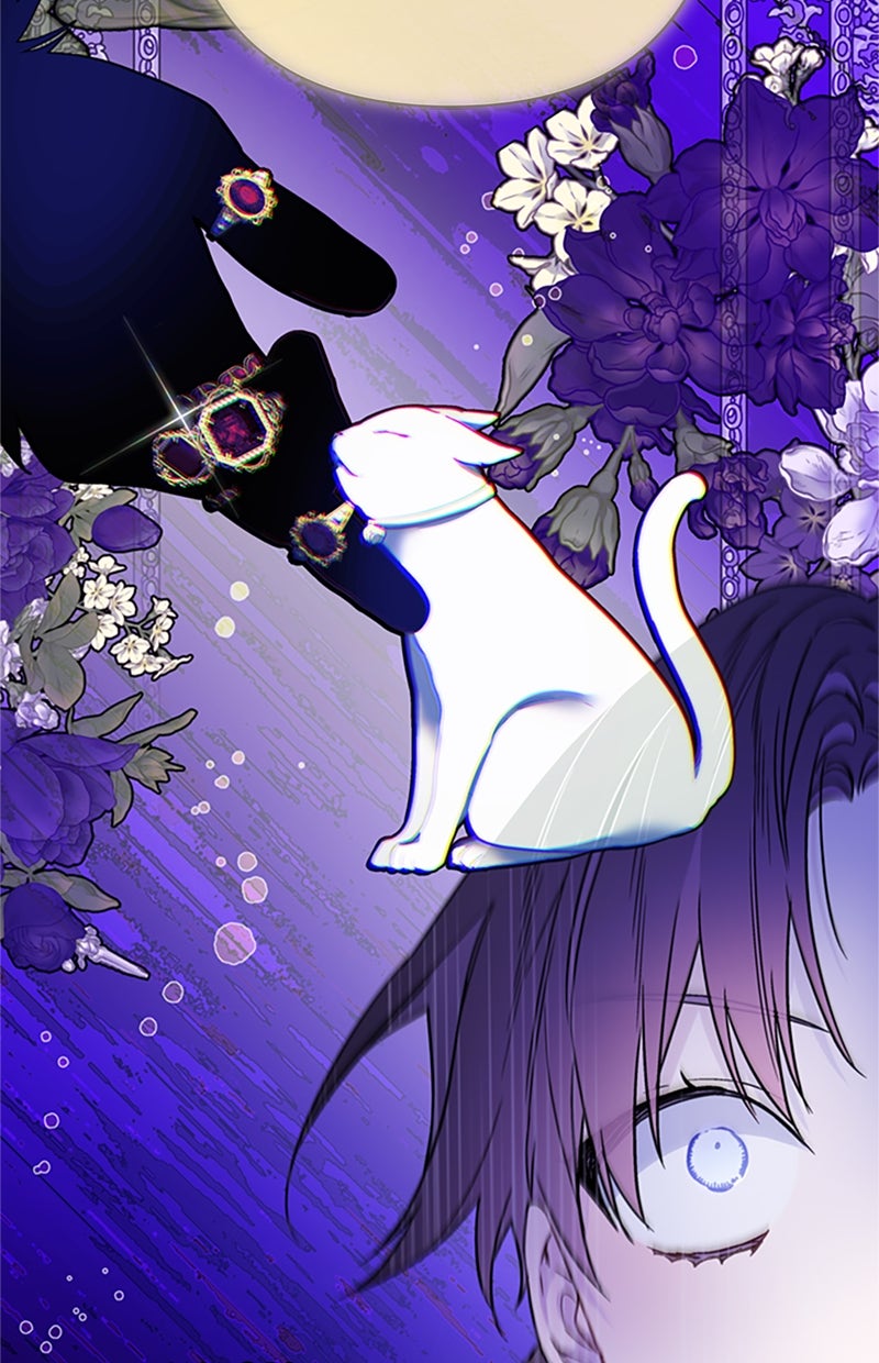 Read From a Knight to a Lady Manga Online