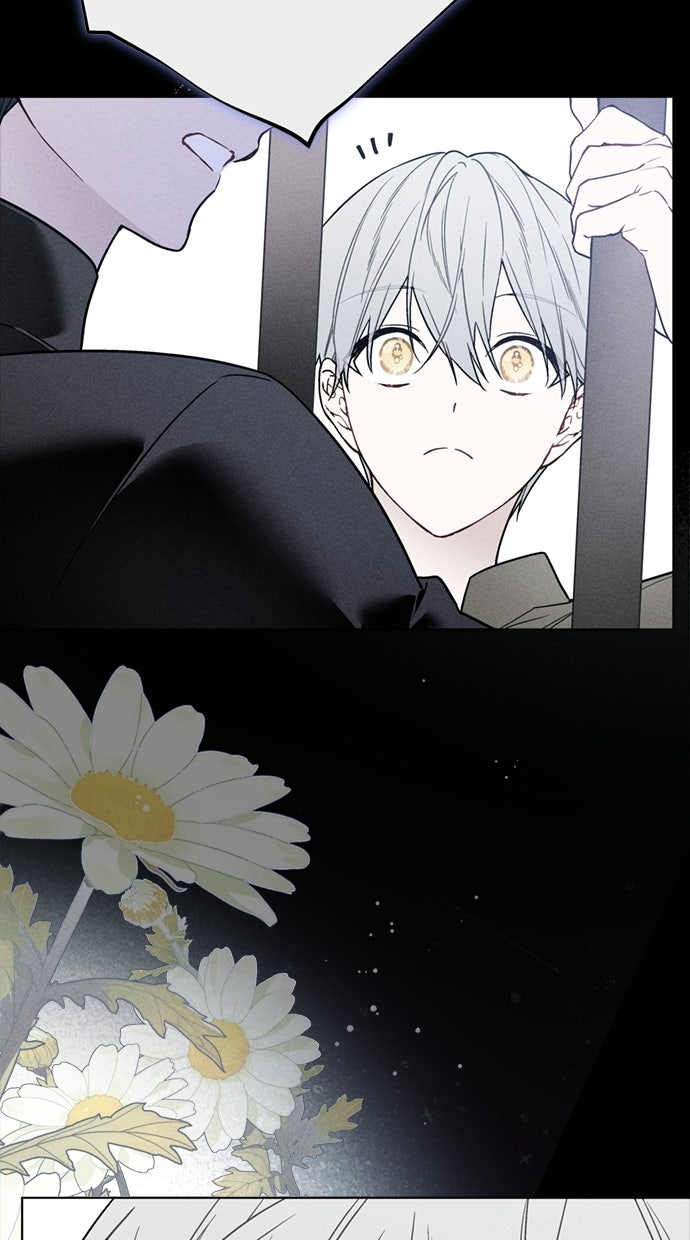 Read From a Knight to a Lady Manga Online