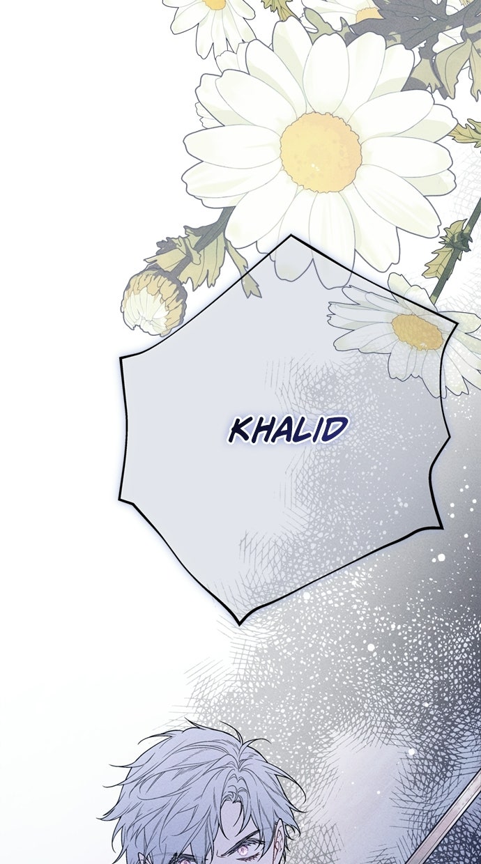 Read From a Knight to a Lady Manga Online