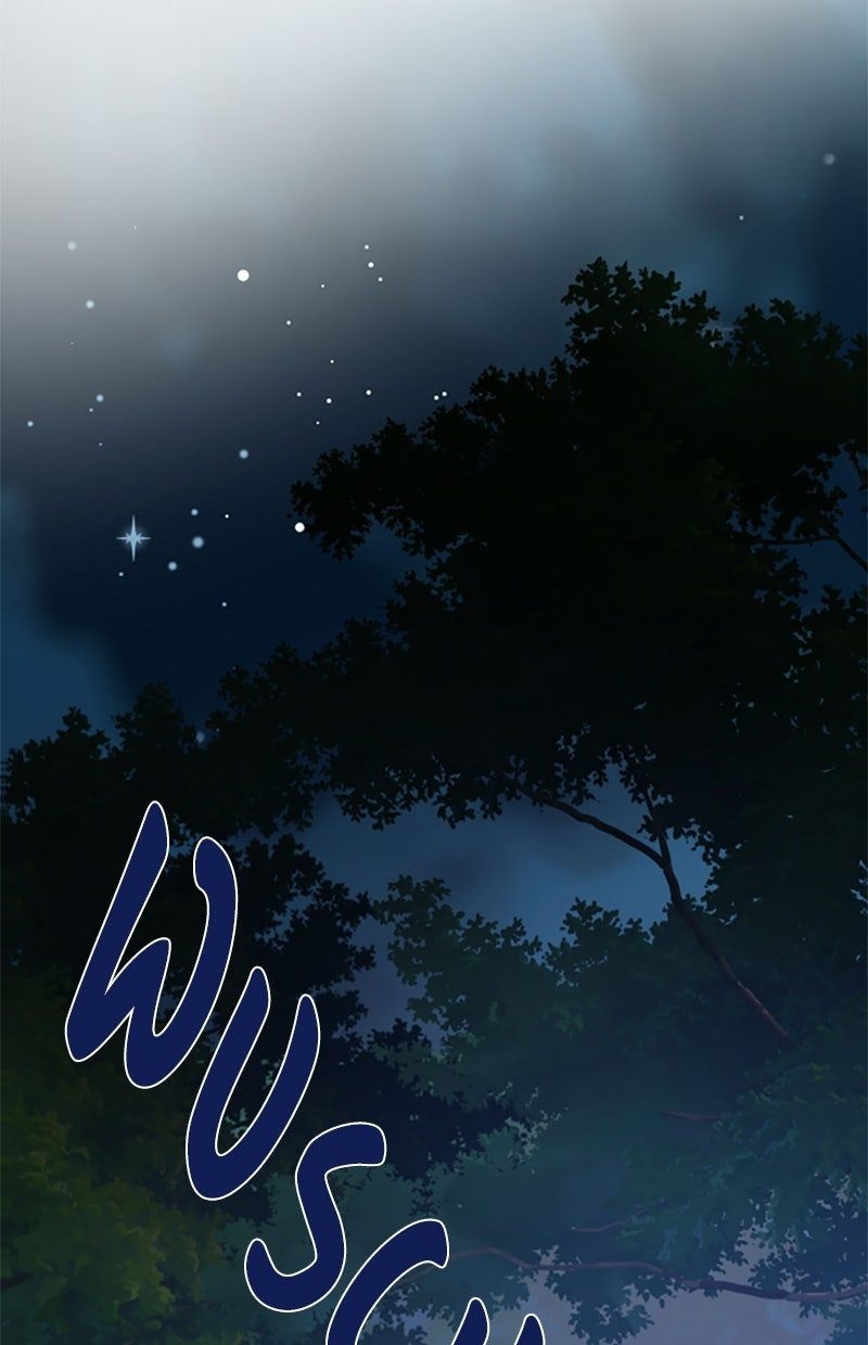 Read From a Knight to a Lady Manga Online